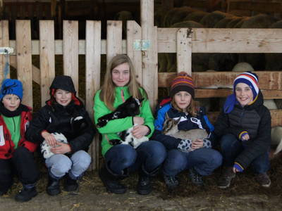 Bild 37 aus  Marteshof