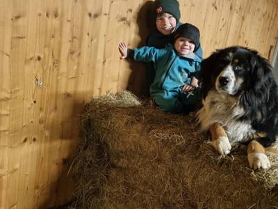 Bild 86 aus  Familie Nußbaumer 