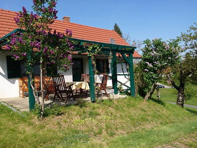 Bild 40 aus  Susi's Kellerstöckl