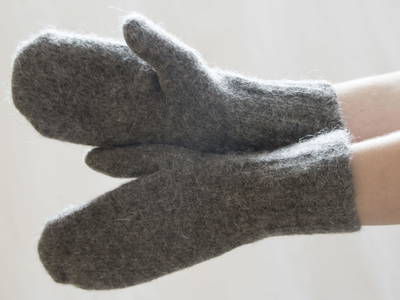 Bild 26 aus  Biohof Mathies