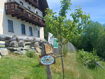 Bild 7 aus  Krametergut