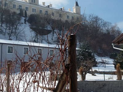Bild 35 aus Wein u. Wohnen