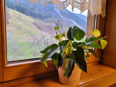 Bild 60 aus  Ferienhaus Marias Hoamatl