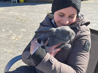 Bild 72 aus  Lindenhof