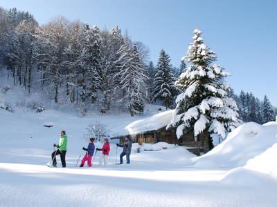 Bild 57 aus  Masererhof - Ferienbauernhof im Chiemgau