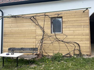Bild 25 aus  Hoamatshaus Strobl