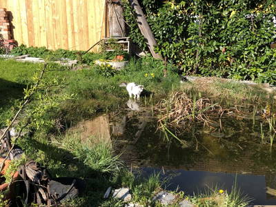 Bild 23 aus  Hof zum Kleinod