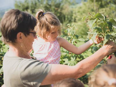 Bild 56 aus  Drittlhof