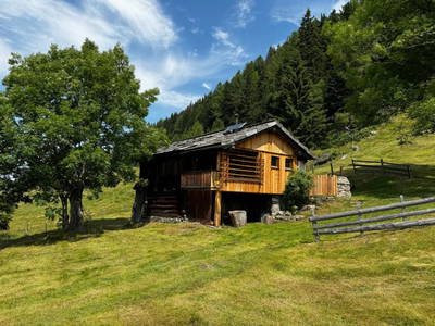 Bild 77 aus  Almhütte Bodner-Kammer