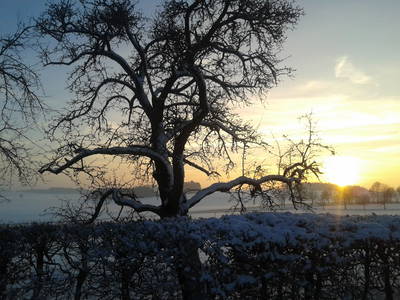 Bild 4 aus  Keller's Hof Heiligenberg