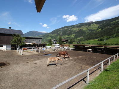 Bild 22 aus  Fehlehof