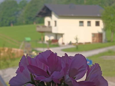 Bild 69 aus  Ferienhaus am Erlachhof