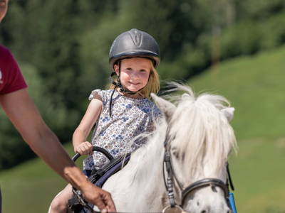 Bild 182 aus  Bio Bauernhof Tobhartbauer