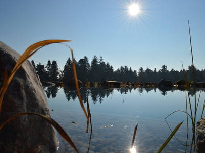 Bild 19 aus  Pircherhof - Adults Only am Biobauernhof