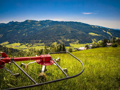 Bild 40 aus  Premhof