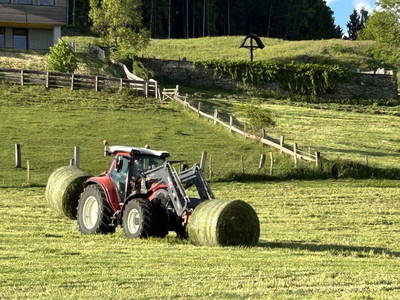 Bild 12 aus Lacknerhof in Liebenfels- Familie Klocker