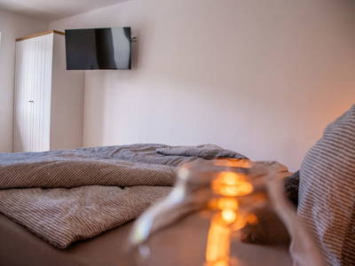 Bild 53 aus  Hofquartier Retzmoar