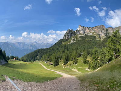 Bild 15 aus  Linsingerhof