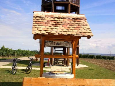 Bild 47 aus Ferienhaus Weinviertel