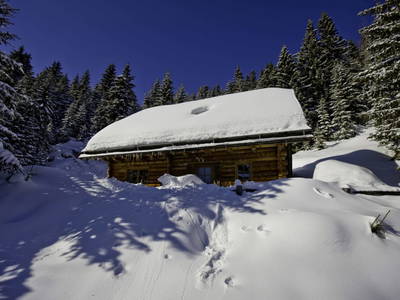 Bild 150 aus  Bischofhütten