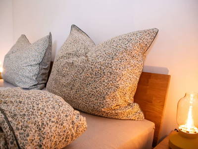 Bild 55 aus  Hofquartier Retzmoar