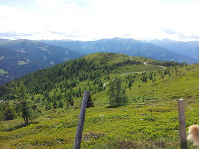 Bild 16 aus  Thürerhütte