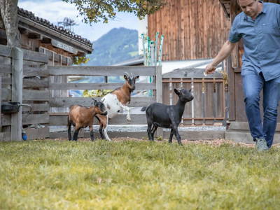 Bild 159 aus  Kinderbauernhof Albeineler Pitztal Tirol