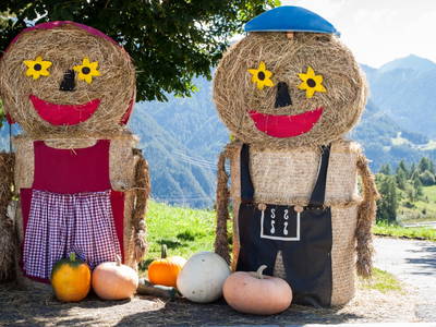 Bild 124 aus  Holzackerhof