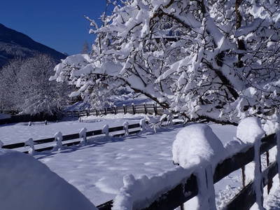 Bild 12 aus  Brunnerhof