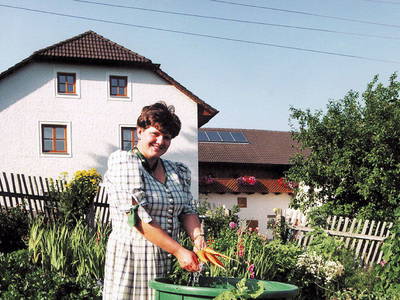 Bild 26 aus  Edlfellner