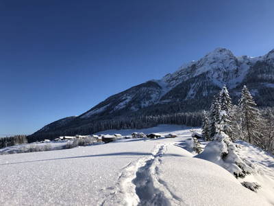 Bild 40 aus  Bauernhof Ober