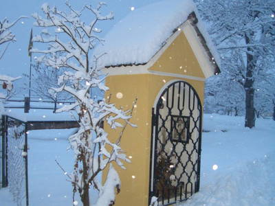 Bild 70 aus  Bauernhof  Wernhof