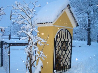 Bild 67 aus Bauernhof Wernhof
