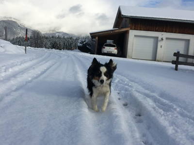 Bild 45 aus  Baby- und Kinderbauernhof Oberhasling