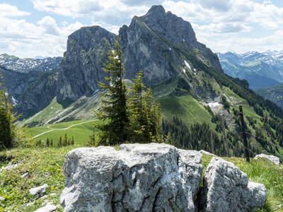 Bild 28 aus  Ferienhof Weißenbach