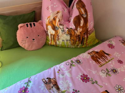 Bild 86 aus  Wallneralm