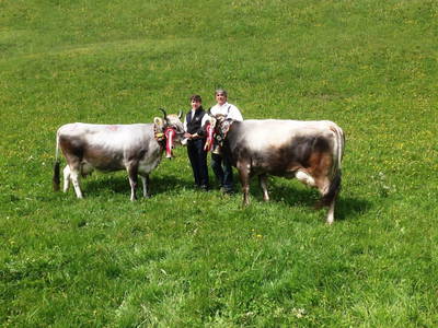 Bild 171 aus  Alfaierhof & Bergheimat