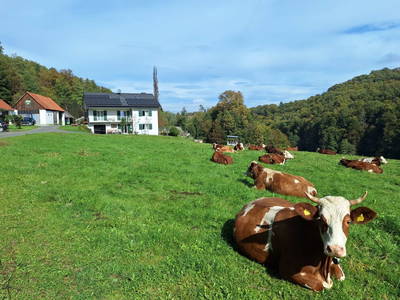 Bild 4 aus  Grabenbauer