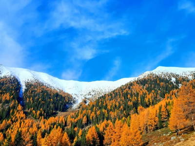 Bild 70 aus  Almhütte Pucher