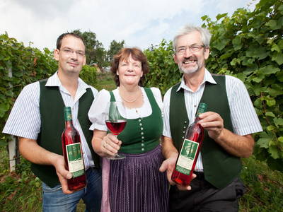 Bild 5 aus  Weingut Seiner vlg.Kraxner