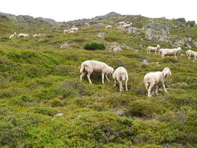 Bild 16 aus  Haus Sonneck