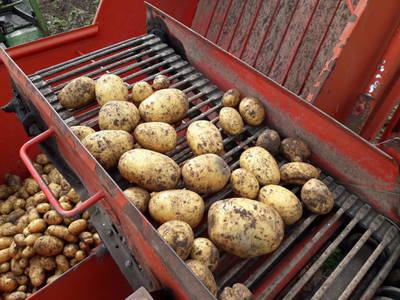 Bild 61 aus  Thoamlhof