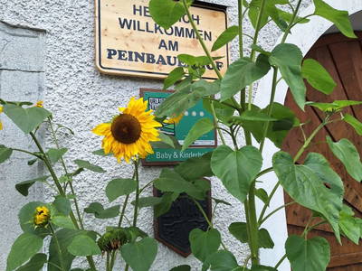 Bild 144 aus  Peinbauerhof