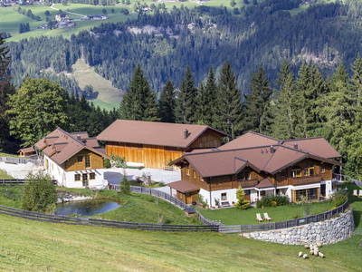 Bild 47 aus  Stegerhof