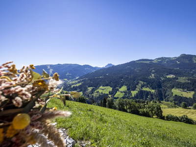 Bild 45 aus  Durchholzalm | Das Chalet am Floitensberg