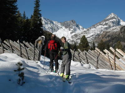 Bild 31 aus  BIO-Bauernhof Gerlhof