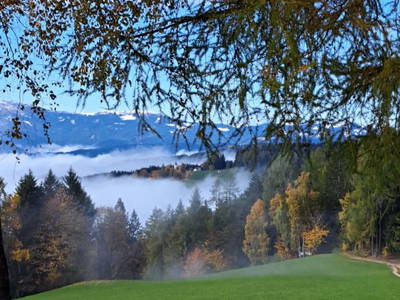 Bild 24 aus  Langhanshütte