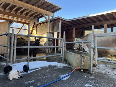 Bild 32 aus  Bio-Gmeinerhof