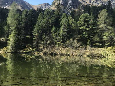 Bild 6 aus  TANAs Almhütte