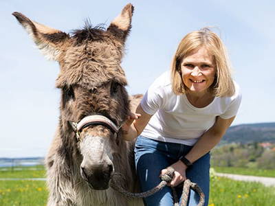 Bild 31 aus  Pferdehof Thomayer